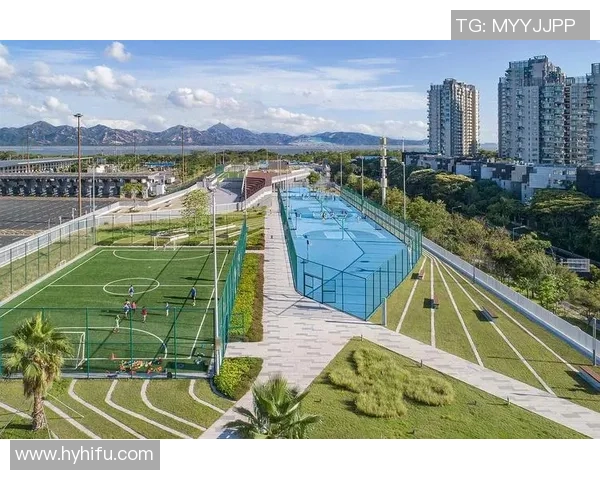 深圳网球队的精神探索与网球文化的深度融合之旅